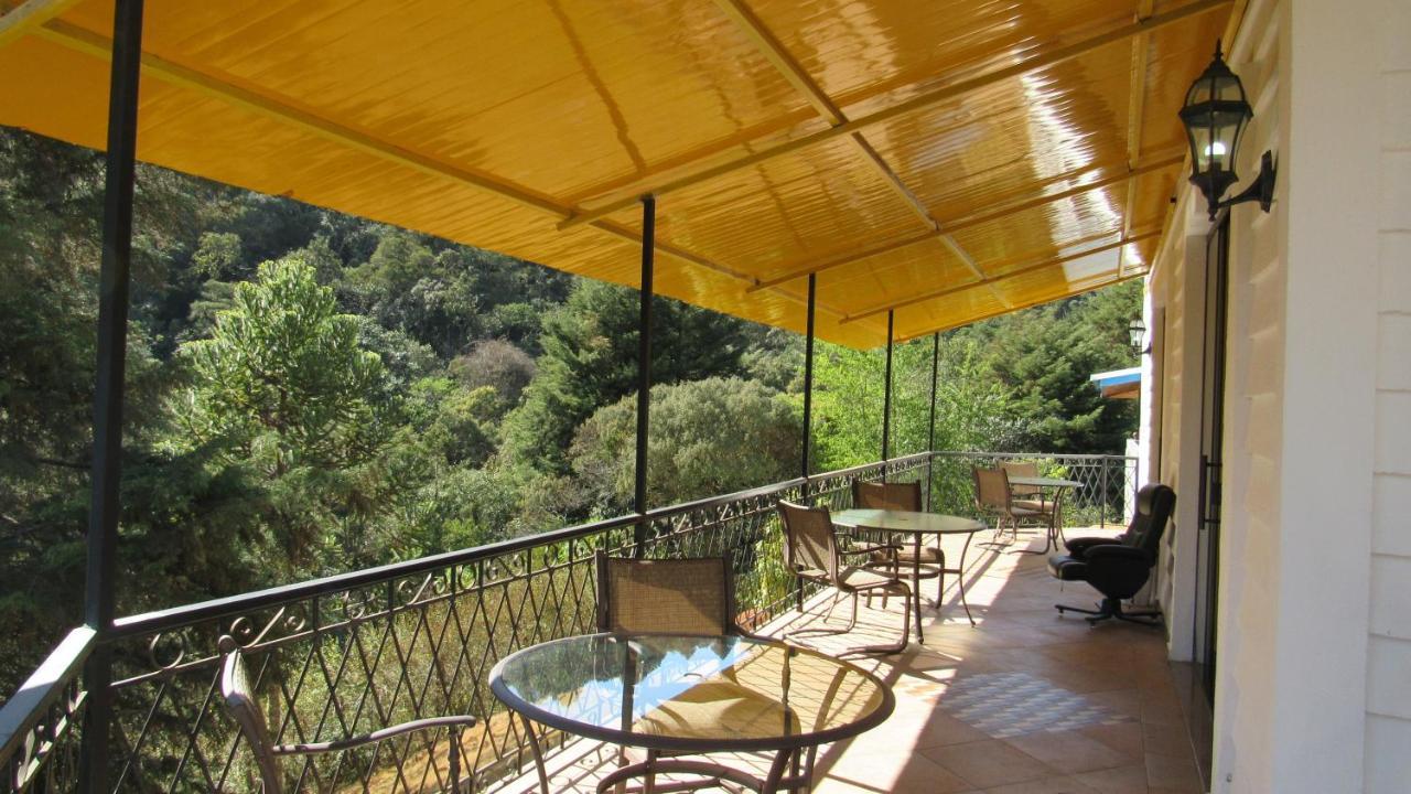 Golden Forest Inn 3*